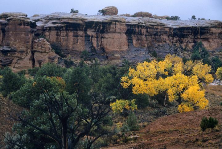 Canyonlands 04.jpg